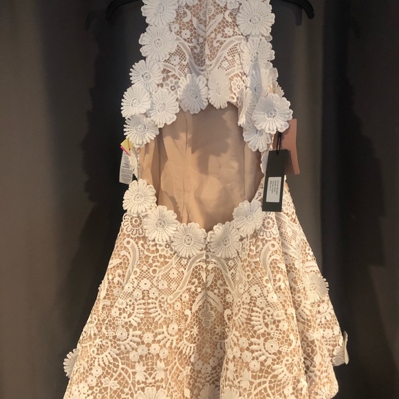 Helen O’Connor Daisy Dress Ivory | Anthropologie Mini & Tunic Dresses - Picture 5 of 7